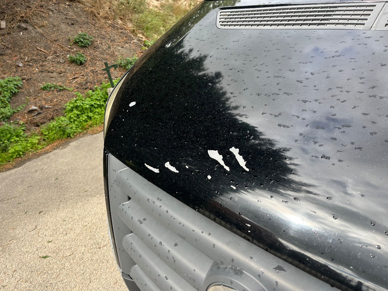 Volkswagen Crafter - Kassebil: bilde 5 Volkswagen Crafter - Kassebil: bilde 5