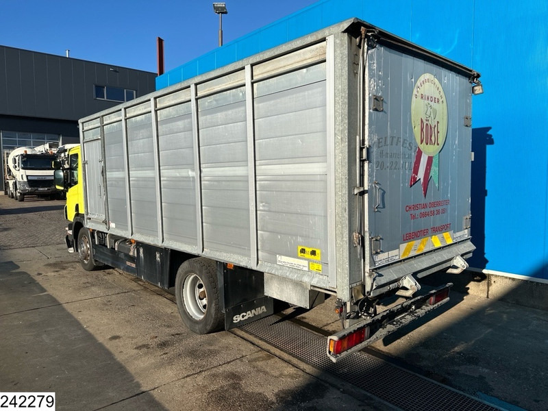 Scania P 320 EURO 5, Manual transmission, Retarder - Dyretransport lastebil: bilde 2 Scania P 320 EURO 5, Manual transmission, Retarder - Dyretransport lastebil: bilde 2