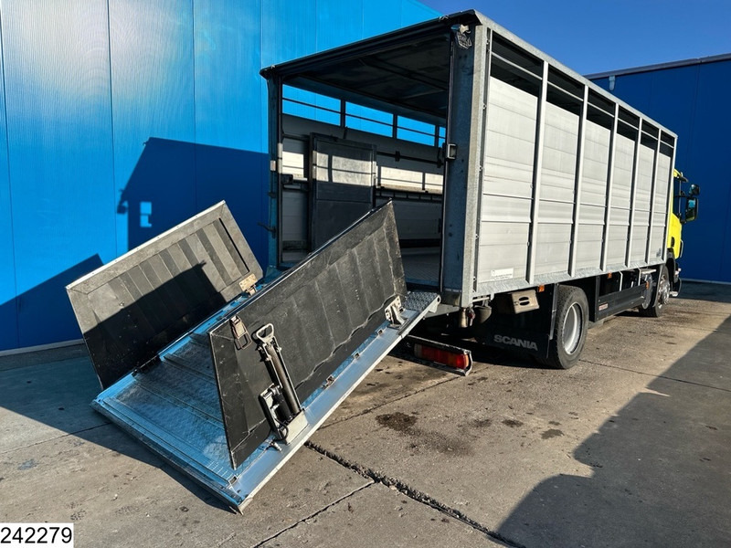 Scania P 320 EURO 5, Manual transmission, Retarder - Dyretransport lastebil: bilde 4 Scania P 320 EURO 5, Manual transmission, Retarder - Dyretransport lastebil: bilde 4