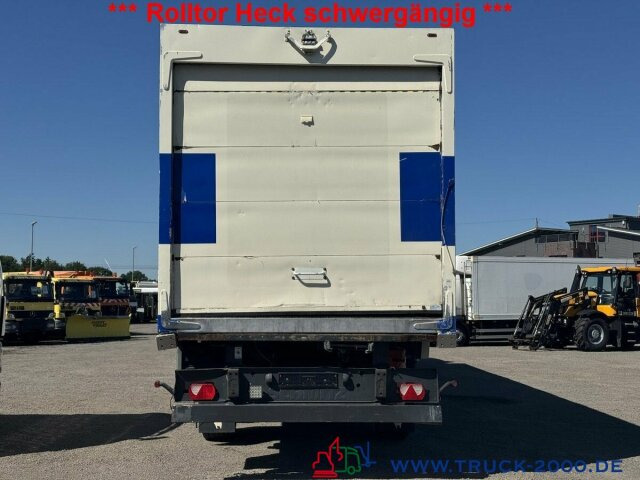 Kjølesemi Schmitz Cargobull Schmitz Thermo King SLX Spectrum Tiefkühler -20°: bilde 11
