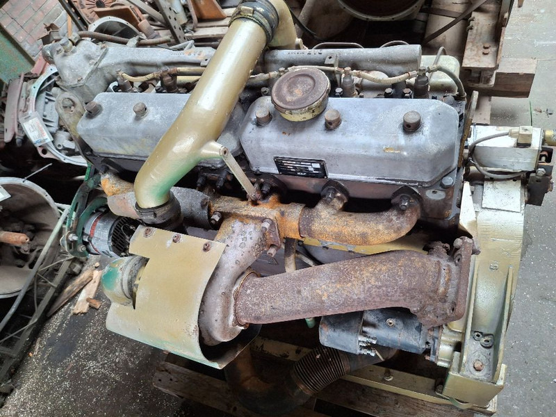 DAF 825 TURBO (DHU825) - Motor: bilde 4 DAF 825 TURBO (DHU825) - Motor: bilde 4