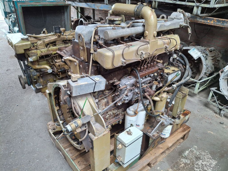 DAF 825 TURBO (DHU825) - Motor: bilde 1 DAF 825 TURBO (DHU825) - Motor: bilde 1
