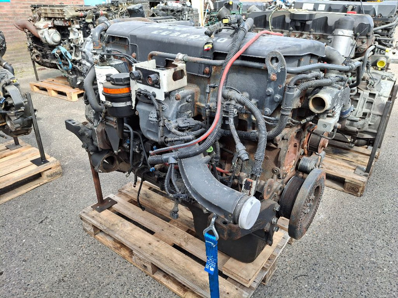 Iveco F3AE3681D ( CURSOR10 ) - Motor: bilde 1 Iveco F3AE3681D ( CURSOR10 ) - Motor: bilde 1