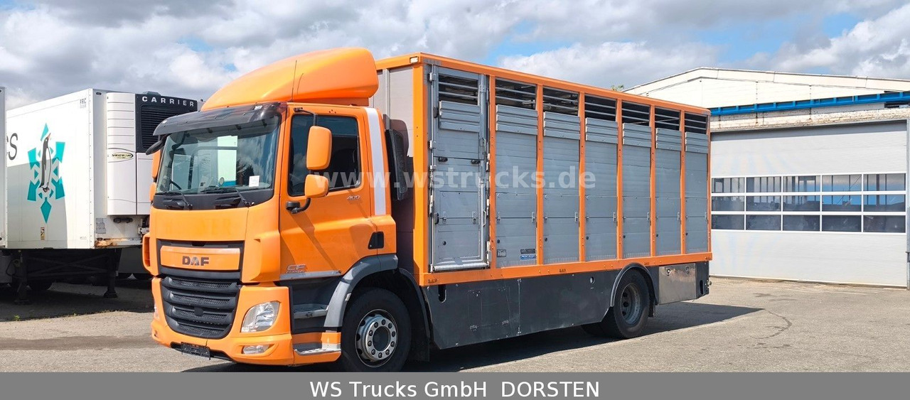 DAF CF 400 Menke Einstock Viehtransporter - Hestebil: bilde 2 DAF CF 400 Menke Einstock Viehtransporter - Hestebil: bilde 2