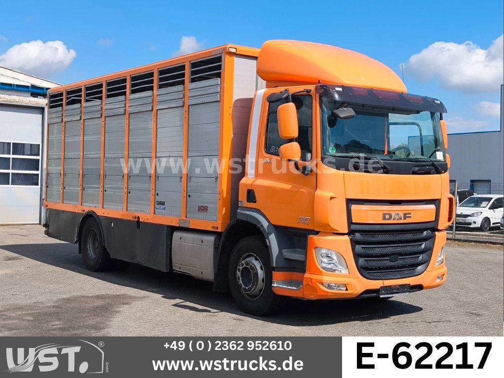 DAF CF 400 Menke Einstock Viehtransporter - Hestebil: bilde 1 DAF CF 400 Menke Einstock Viehtransporter - Hestebil: bilde 1
