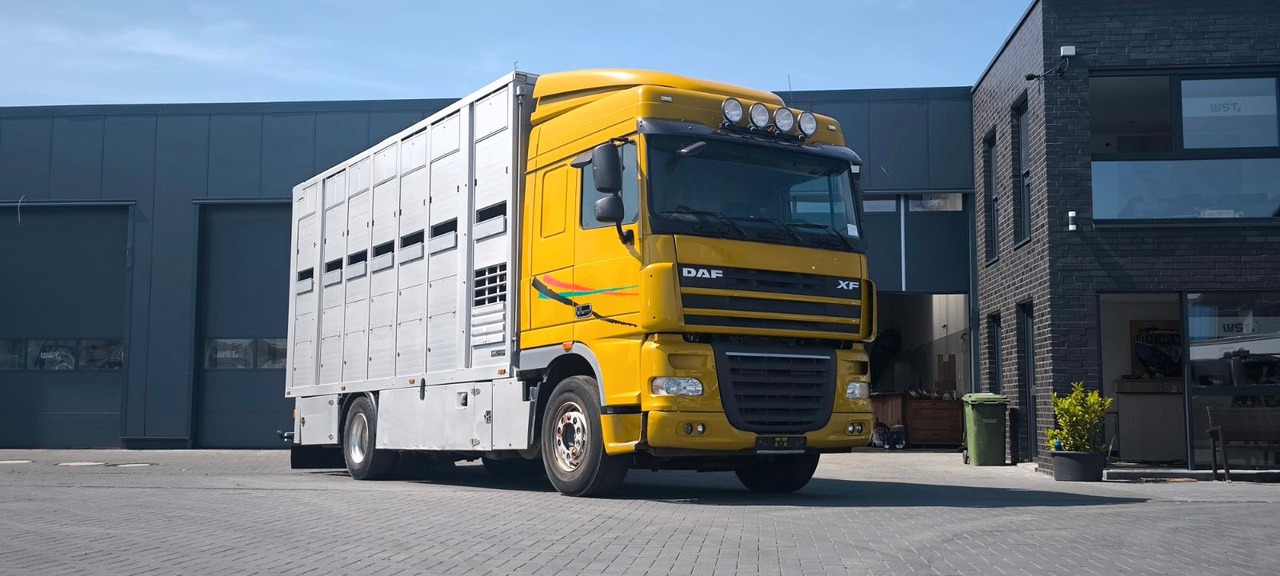 DAF XF 410 SC Menke Doppelstock - Hestebil: bilde 4 DAF XF 410 SC Menke Doppelstock - Hestebil: bilde 4