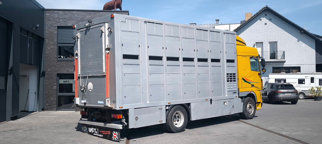 DAF XF 410 SC Menke Doppelstock - Hestebil: bilde 3 DAF XF 410 SC Menke Doppelstock - Hestebil: bilde 3