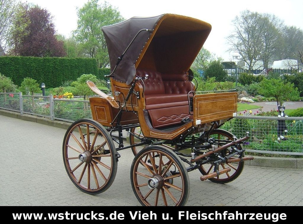 Exclusiver Doktorwagen Inzahlungn. v. Pferden - Dyretransport tilhenger: bilde 1 Exclusiver Doktorwagen Inzahlungn. v. Pferden - Dyretransport tilhenger: bilde 1