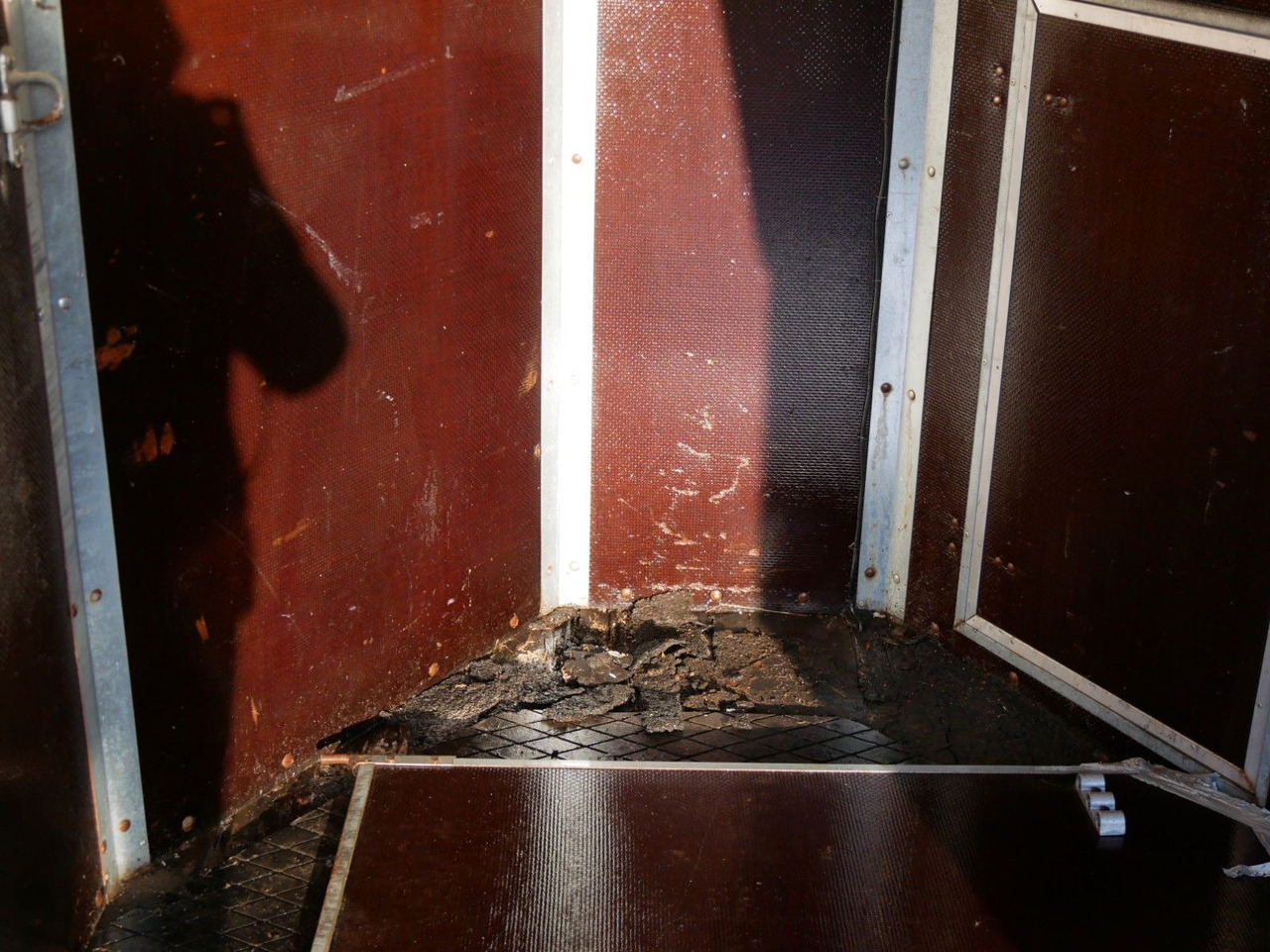 Dyretransport tilhenger Holz Poly 2 Pferde: bilde 6 Dyretransport tilhenger Holz Poly 2 Pferde: bilde 6