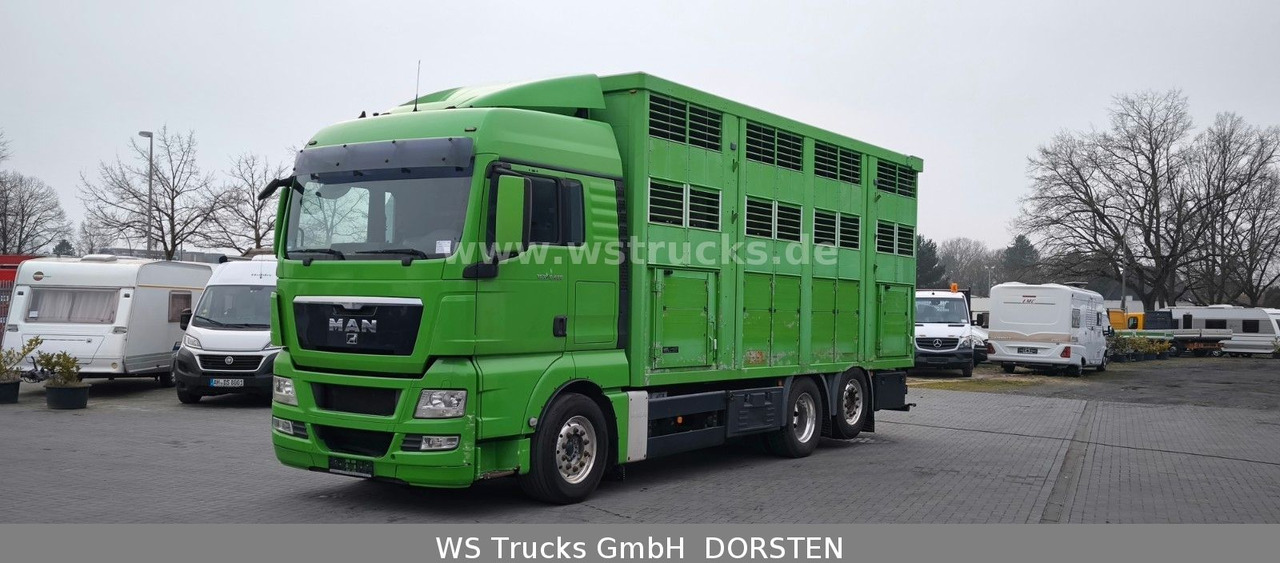 MAN TGX 26.480 XL KABA   3 Stock Viehtransporter - Hestebil: bilde 2 MAN TGX 26.480 XL KABA   3 Stock Viehtransporter - Hestebil: bilde 2