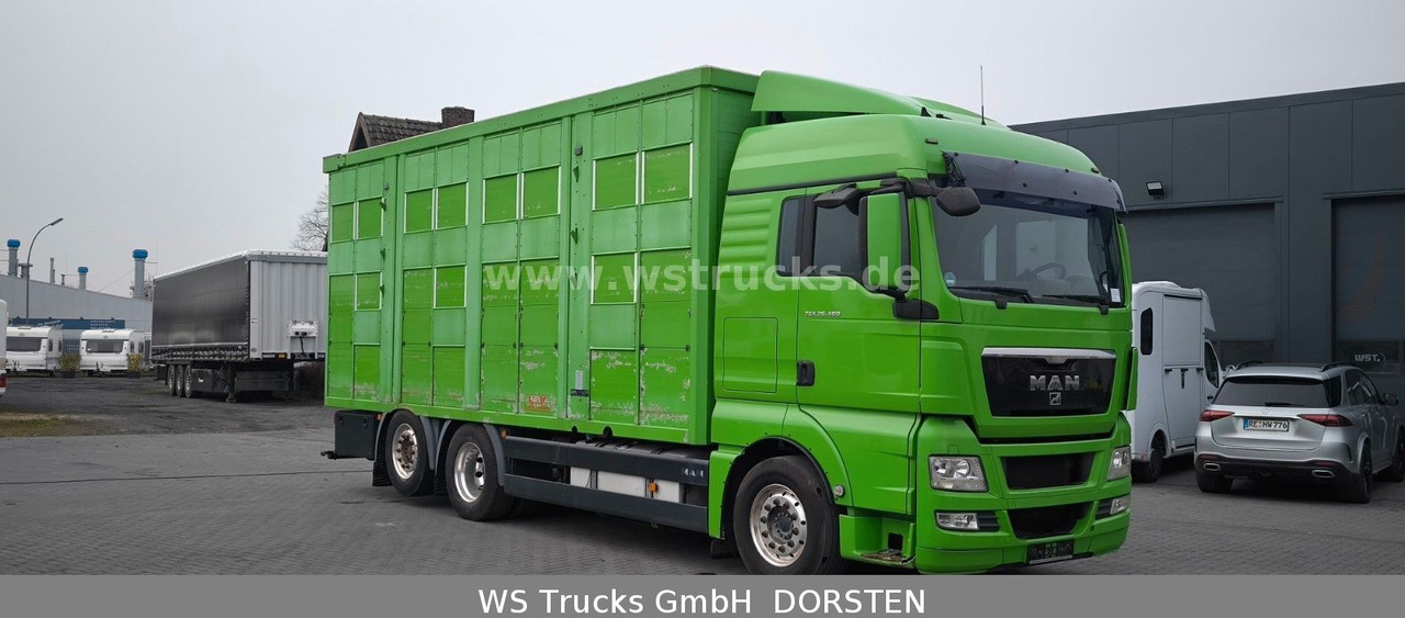 MAN TGX 26.480 XL KABA   3 Stock Viehtransporter - Hestebil: bilde 3 MAN TGX 26.480 XL KABA   3 Stock Viehtransporter - Hestebil: bilde 3