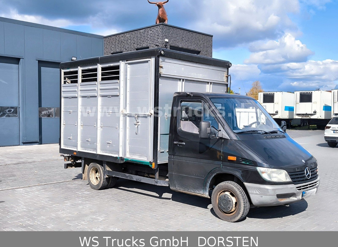 Mercedes-Benz Sprinter 411 CDI Viehtransporter - Dyretransport lastebil: bilde 2 Mercedes-Benz Sprinter 411 CDI Viehtransporter - Dyretransport lastebil: bilde 2