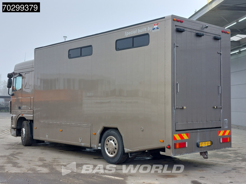 DAF XF105.410 XF 4X2 NL-Truck JK Horsetruck 6 Horses Pferdentransport Manual Euro 5 - Hestebil: bilde 2 DAF XF105.410 XF 4X2 NL-Truck JK Horsetruck 6 Horses Pferdentransport Manual Euro 5 - Hestebil: bilde 2