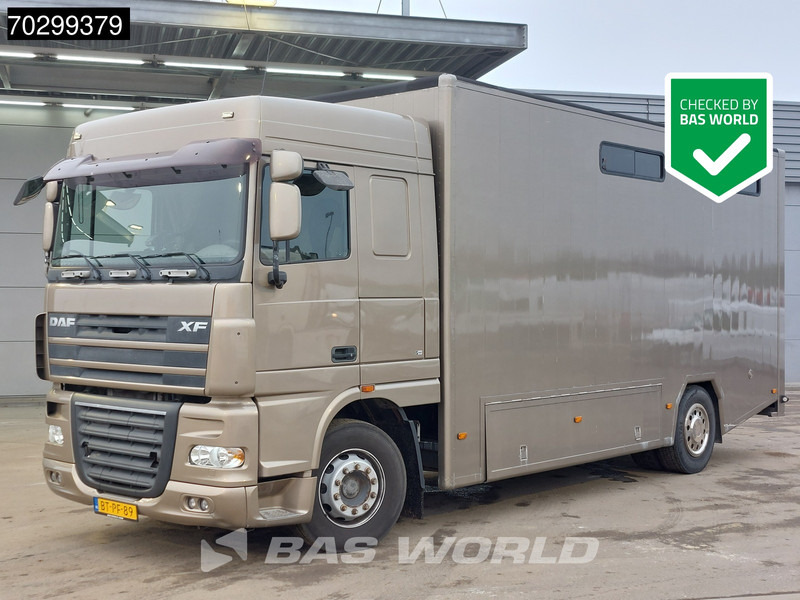 DAF XF105.410 XF 4X2 NL-Truck JK Horsetruck 6 Horses Pferdentransport Manual Euro 5 - Hestebil: bilde 1 DAF XF105.410 XF 4X2 NL-Truck JK Horsetruck 6 Horses Pferdentransport Manual Euro 5 - Hestebil: bilde 1