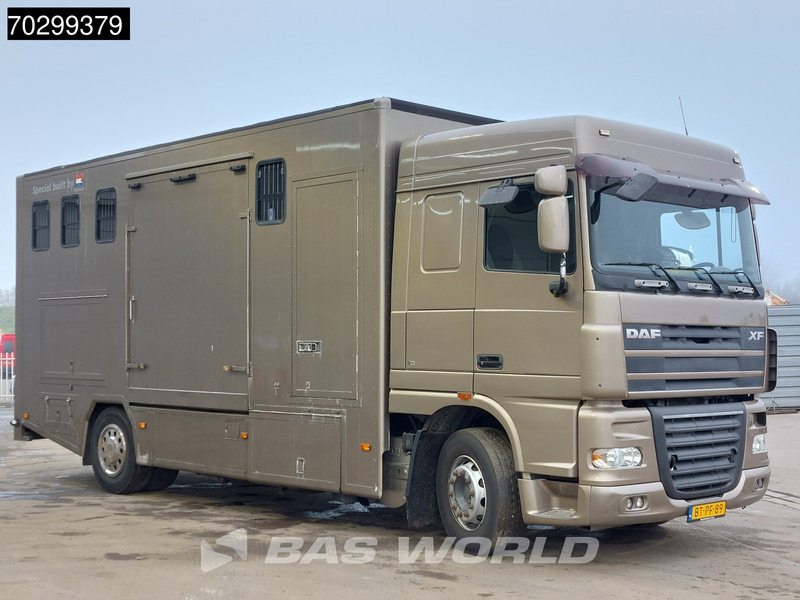 DAF XF105.410 XF 4X2 NL-Truck JK Horsetruck 6 Horses Pferdentransport Manual Euro 5 - Hestebil: bilde 3 DAF XF105.410 XF 4X2 NL-Truck JK Horsetruck 6 Horses Pferdentransport Manual Euro 5 - Hestebil: bilde 3