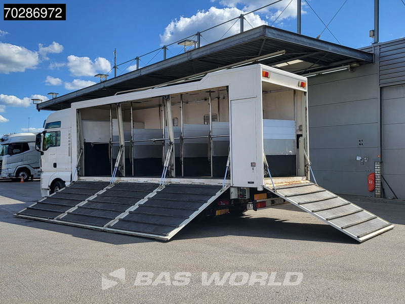 MAN TGX 26.480 TGX 6X2 NL-Truck BDF HorseTransport Lift+steering axle Standklima Automatic Xenon Alcoa´s Euro 5 - Container-transport/ Vekselflak lastebil: bilde 2 MAN TGX 26.480 TGX 6X2 NL-Truck BDF HorseTransport Lift+steering axle Standklima Automatic Xenon Alcoa´s Euro 5 - Container-transport/ Vekselflak lastebil: bilde 2