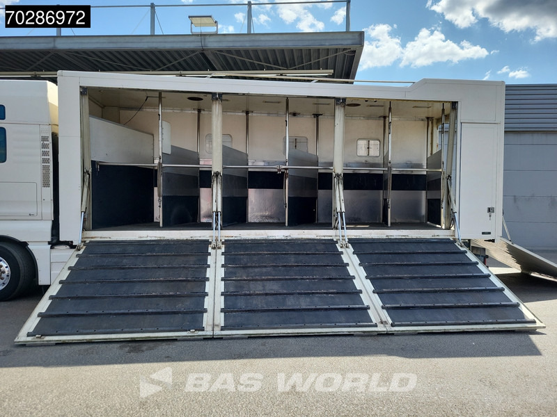 MAN TGX 26.480 TGX 6X2 NL-Truck BDF HorseTransport Lift+steering axle Standklima Automatic Xenon Alcoa´s Euro 5 - Container-transport/ Vekselflak lastebil: bilde 3 MAN TGX 26.480 TGX 6X2 NL-Truck BDF HorseTransport Lift+steering axle Standklima Automatic Xenon Alcoa´s Euro 5 - Container-transport/ Vekselflak lastebil: bilde 3