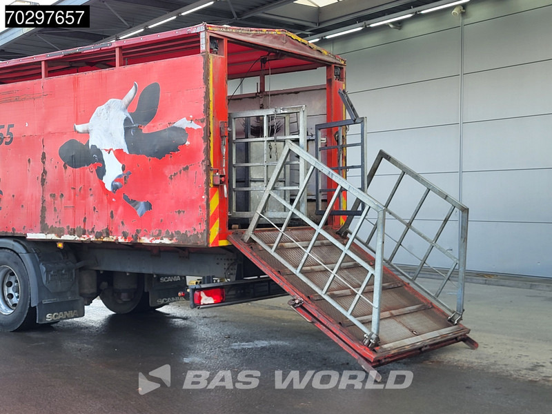 Scania P280 4X2 Cattle transport Automatic Full air suspension Euro 6 - Dyretransport lastebil: bilde 3 Scania P280 4X2 Cattle transport Automatic Full air suspension Euro 6 - Dyretransport lastebil: bilde 3