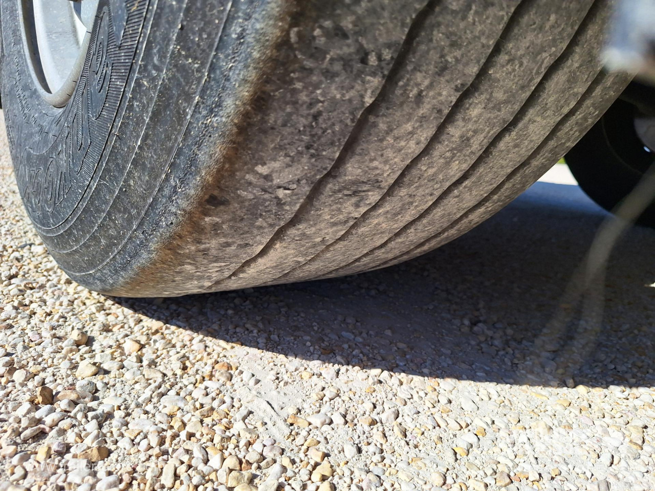 Leie SCHMITZ Reefer Standard SCHMITZ Reefer Standard: bilde 7