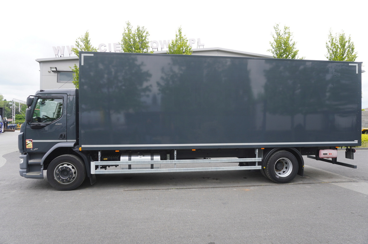DAF LF 290 / 21 EPAL box / 2021 - Skapbil: bilde 3 DAF LF 290 / 21 EPAL box / 2021 - Skapbil: bilde 3