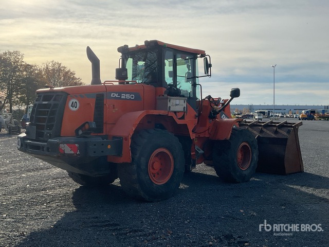 2016 Doosan DL250-3 Wheel Loader - Hjullaster: bilde 3 2016 Doosan DL250-3 Wheel Loader - Hjullaster: bilde 3