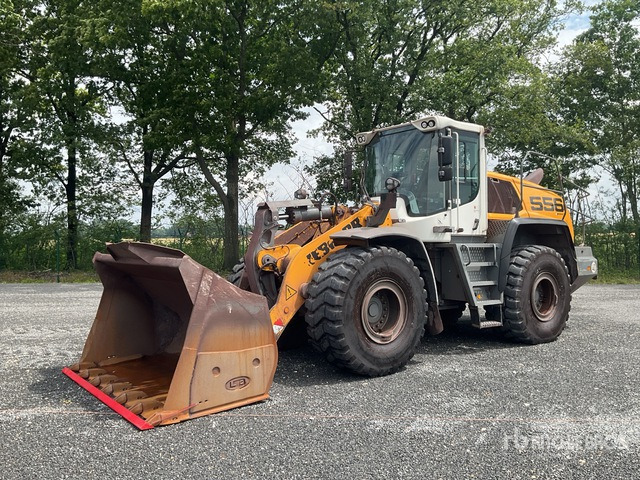 2019 Liebherr L556 XPOWER Wheel Loader - Hjullaster: bilde 2 2019 Liebherr L556 XPOWER Wheel Loader - Hjullaster: bilde 2