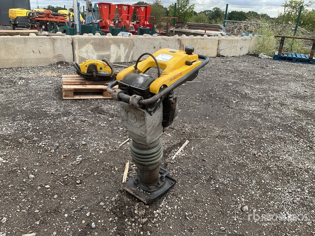 2021 Wacker Neuson BS60-2 Jumping Jack Tamper - Vibrasjonsstamper: bilde 2 2021 Wacker Neuson BS60-2 Jumping Jack Tamper - Vibrasjonsstamper: bilde 2