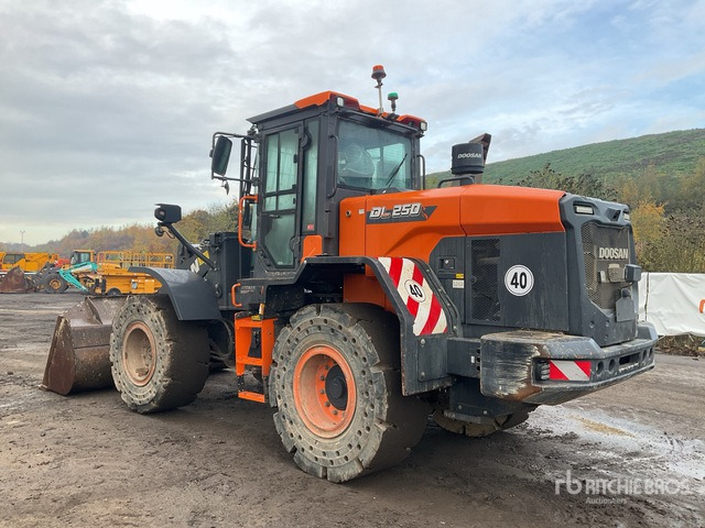 2022 Doosan DL250-7 Wheel Loader - Hjullaster: bilde 4 2022 Doosan DL250-7 Wheel Loader - Hjullaster: bilde 4
