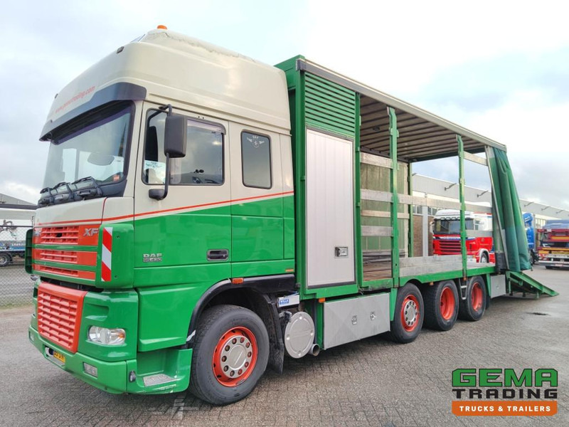 DAF FAK XF95.430 8x2 SuperSpaceCab Euro3 - CurtainSider 7.31m + Ramp 16T - MachineTransporter - 6 Persons (V558) - Transporter lastebil: bilde 1 DAF FAK XF95.430 8x2 SuperSpaceCab Euro3 - CurtainSider 7.31m + Ramp 16T - MachineTransporter - 6 Persons (V558) - Transporter lastebil: bilde 1
