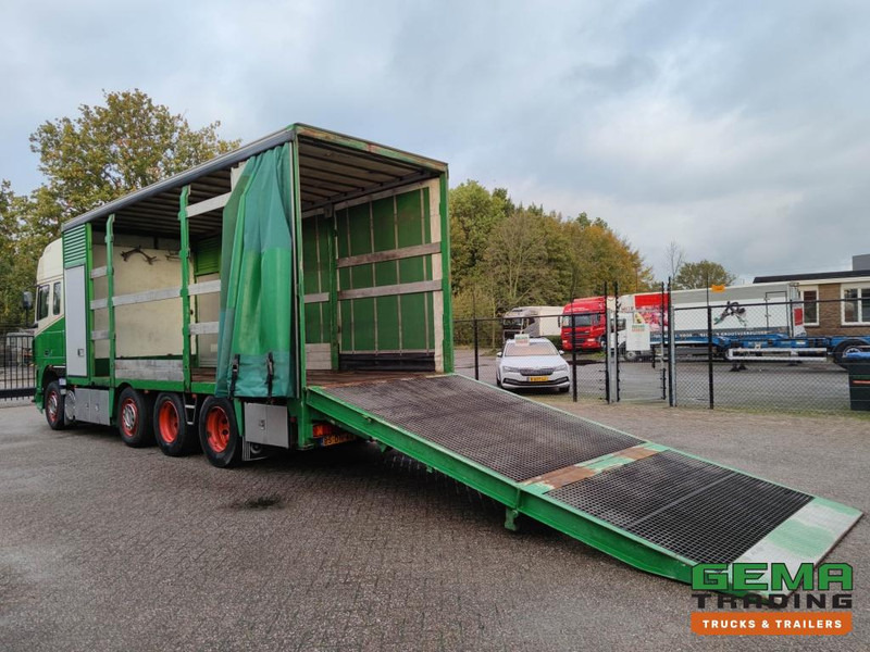 DAF FAK XF95.430 8x2 SuperSpaceCab Euro3 - CurtainSider 7.31m + Ramp 16T - MachineTransporter - 6 Persons (V558) - Transporter lastebil: bilde 2 DAF FAK XF95.430 8x2 SuperSpaceCab Euro3 - CurtainSider 7.31m + Ramp 16T - MachineTransporter - 6 Persons (V558) - Transporter lastebil: bilde 2