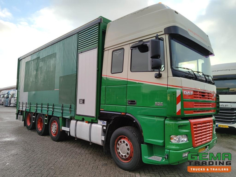 DAF FAK XF95.430 8x2 SuperSpaceCab Euro3 - CurtainSider 7.31m + Ramp 16T - MachineTransporter - 6 Persons (V558) - Transporter lastebil: bilde 3 DAF FAK XF95.430 8x2 SuperSpaceCab Euro3 - CurtainSider 7.31m + Ramp 16T - MachineTransporter - 6 Persons (V558) - Transporter lastebil: bilde 3