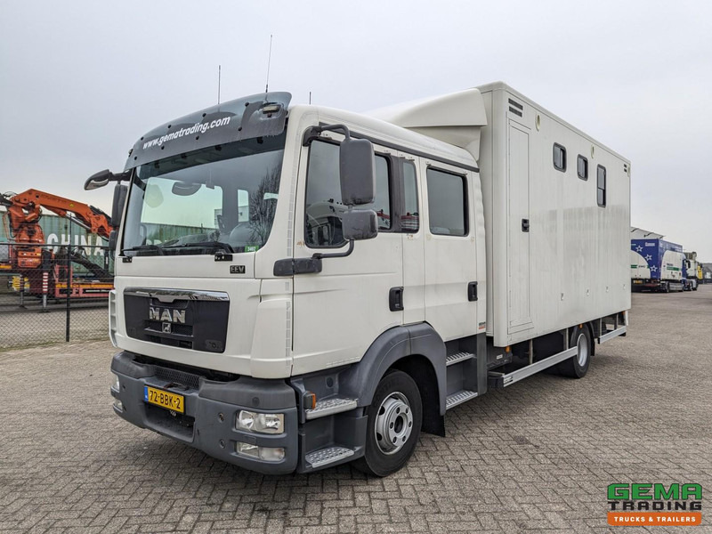MAN TGL 12.180 4x2 DoKa 7 pers. Euro5 EEV - Paardenwagen 2-Paards - 147.000km! - MARGE - Hestebil: bilde 3 MAN TGL 12.180 4x2 DoKa 7 pers. Euro5 EEV - Paardenwagen 2-Paards - 147.000km! - MARGE - Hestebil: bilde 3