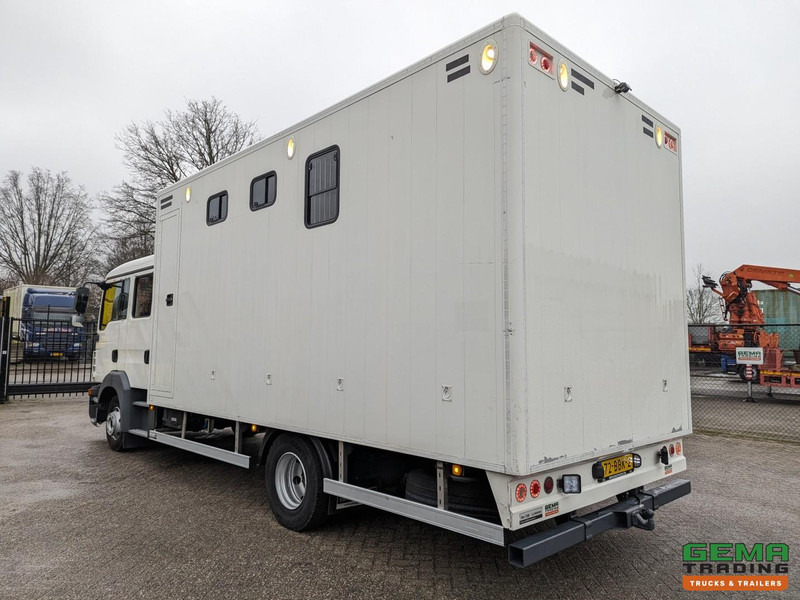 MAN TGL 12.180 4x2 DoKa 7 pers. Euro5 EEV - Paardenwagen 2-Paards - 147.000km! - MARGE - Hestebil: bilde 4 MAN TGL 12.180 4x2 DoKa 7 pers. Euro5 EEV - Paardenwagen 2-Paards - 147.000km! - MARGE - Hestebil: bilde 4