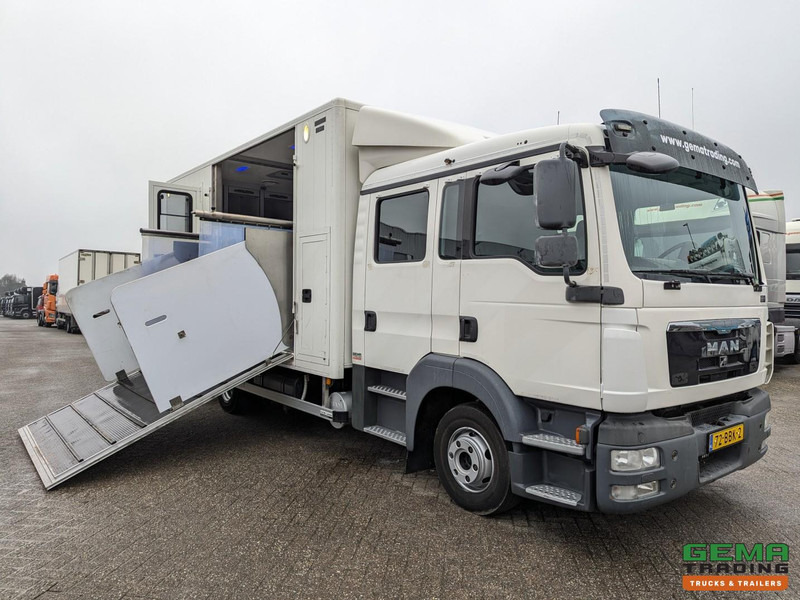 MAN TGL 12.180 4x2 DoKa 7 pers. Euro5 EEV - Paardenwagen 2-Paards - 147.000km! - MARGE - Hestebil: bilde 1 MAN TGL 12.180 4x2 DoKa 7 pers. Euro5 EEV - Paardenwagen 2-Paards - 147.000km! - MARGE - Hestebil: bilde 1