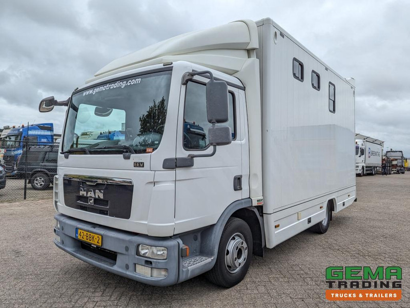 MAN TGL 12.250 4x2 Euro5 EEV RC HorseTruck - 2a3 Paards - 135.000km - MARGE (V821) - Hestebil: bilde 2 MAN TGL 12.250 4x2 Euro5 EEV RC HorseTruck - 2a3 Paards - 135.000km - MARGE (V821) - Hestebil: bilde 2
