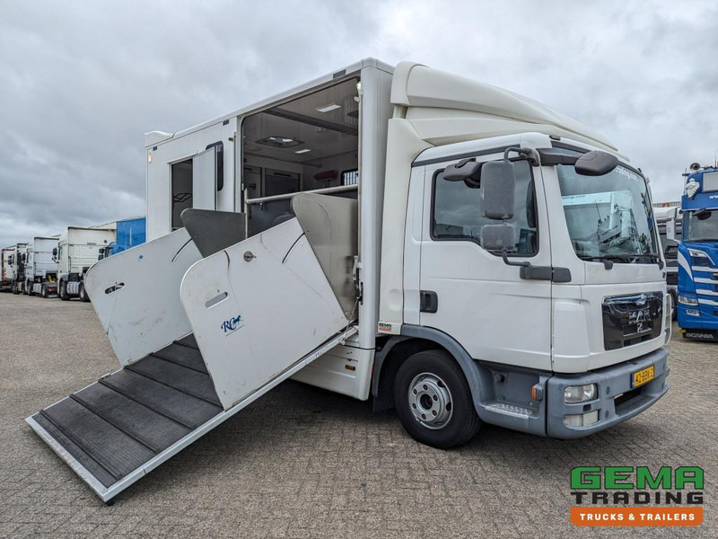 MAN TGL 12.250 4x2 Euro5 EEV RC HorseTruck - 2a3 Paards - 135.000km - MARGE (V821) - Hestebil: bilde 3 MAN TGL 12.250 4x2 Euro5 EEV RC HorseTruck - 2a3 Paards - 135.000km - MARGE (V821) - Hestebil: bilde 3