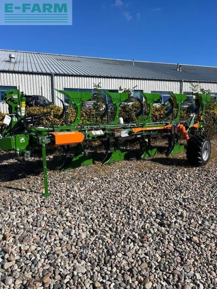 Amazone teres - Plog: bilde 1 Amazone teres - Plog: bilde 1