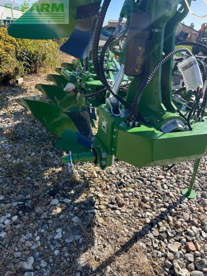 Amazone teres - Plog: bilde 3 Amazone teres - Plog: bilde 3