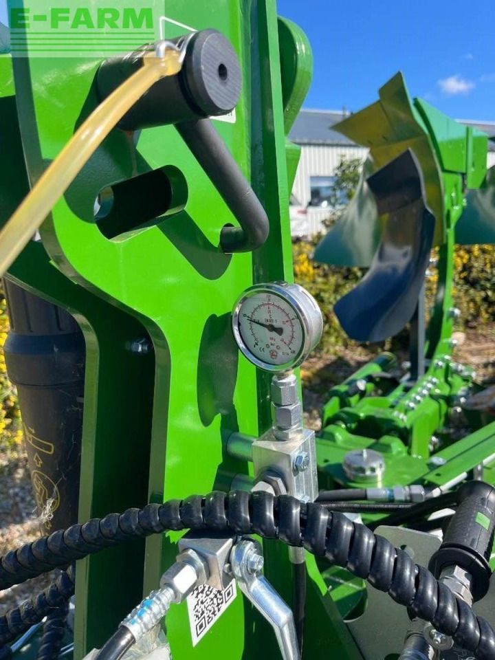 Amazone teres - Plog: bilde 5 Amazone teres - Plog: bilde 5