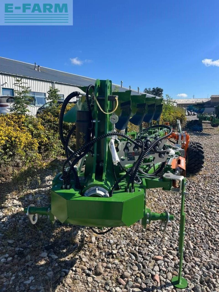 Amazone teres - Plog: bilde 2 Amazone teres - Plog: bilde 2