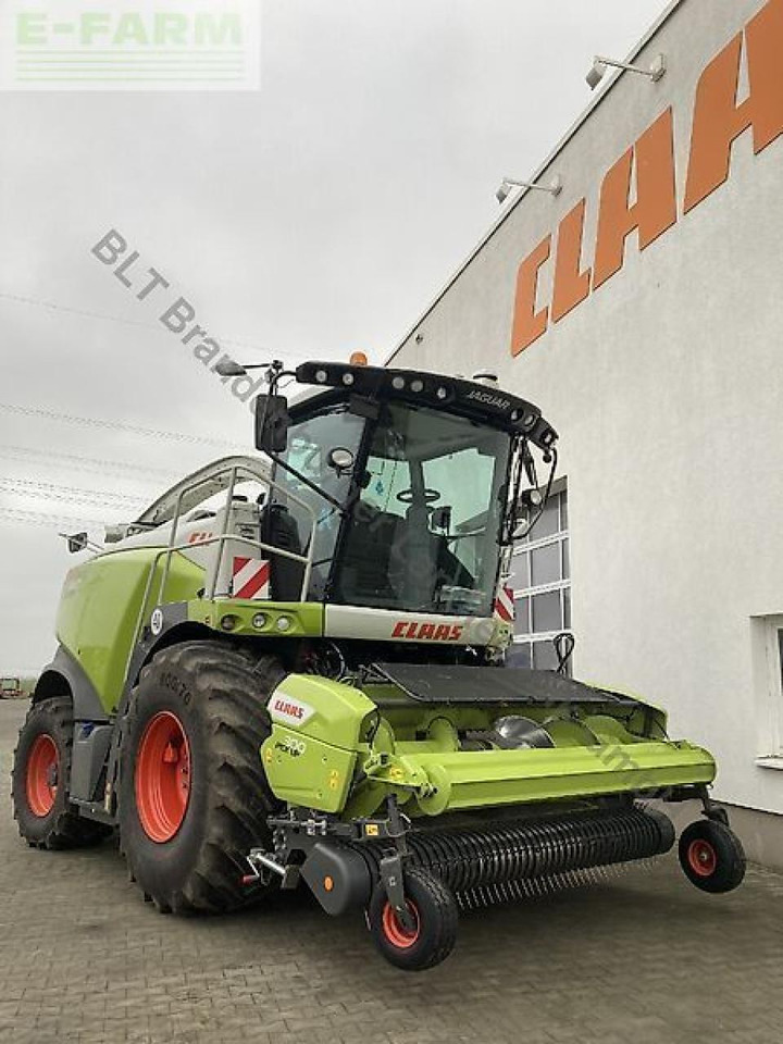 Forhøster CLAAS jaguar 980: bilde 17