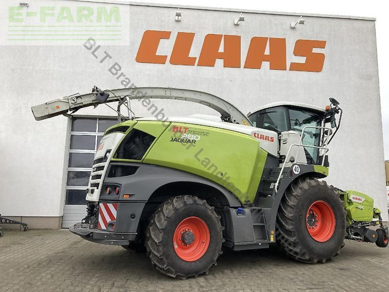 Forhøster CLAAS jaguar 980: bilde 13