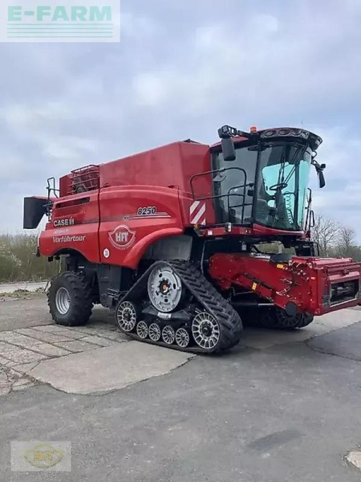 Case-IH axial-flow 8250 st5 - Skurtresker: bilde 2 Case-IH axial-flow 8250 st5 - Skurtresker: bilde 2