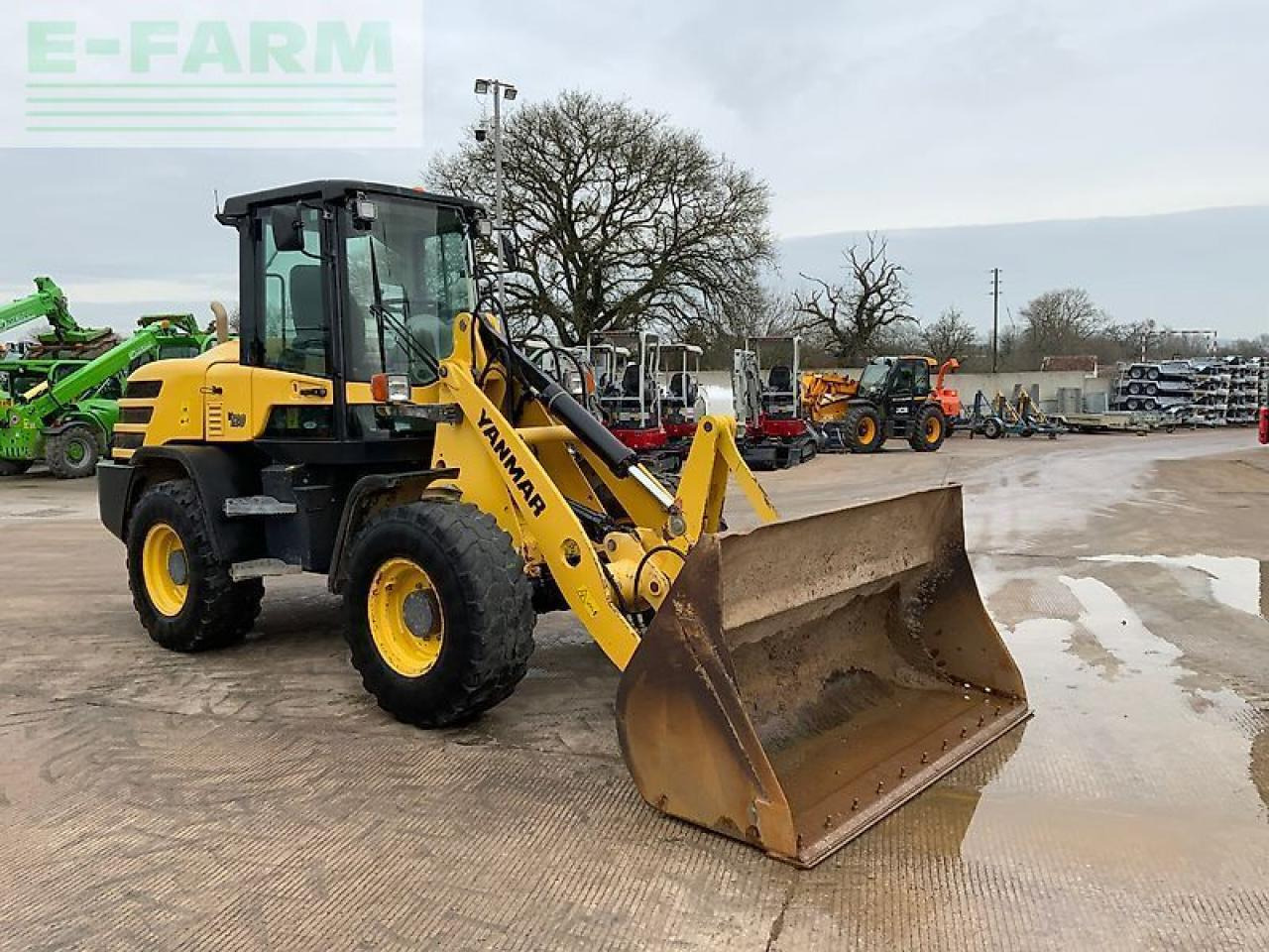 Yanmar v120 wheeled loading shovel (st25672) - Minigraver: bilde 3 Yanmar v120 wheeled loading shovel (st25672) - Minigraver: bilde 3