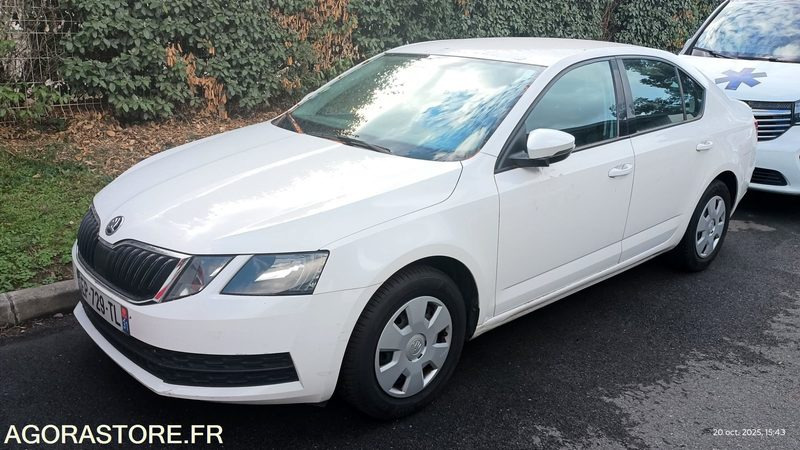 EP-729-TL - Non Roulant - SKODA OCTAVIA - VP -  349 390 Kms - Personenbil: bilde 1 EP-729-TL - Non Roulant - SKODA OCTAVIA - VP -  349 390 Kms - Personenbil: bilde 1