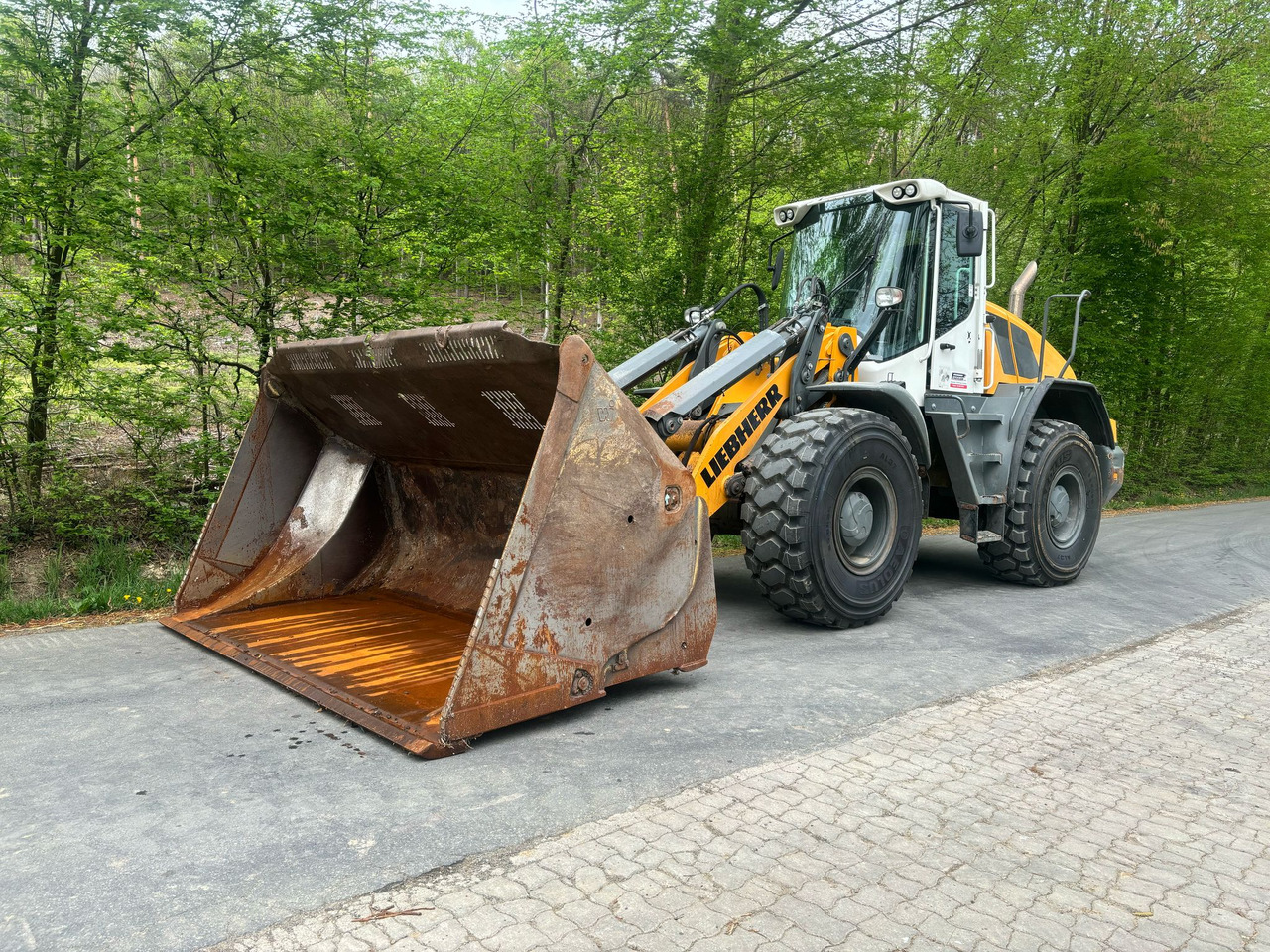 Hjullaster LIEBHERR L 546: bilde 1