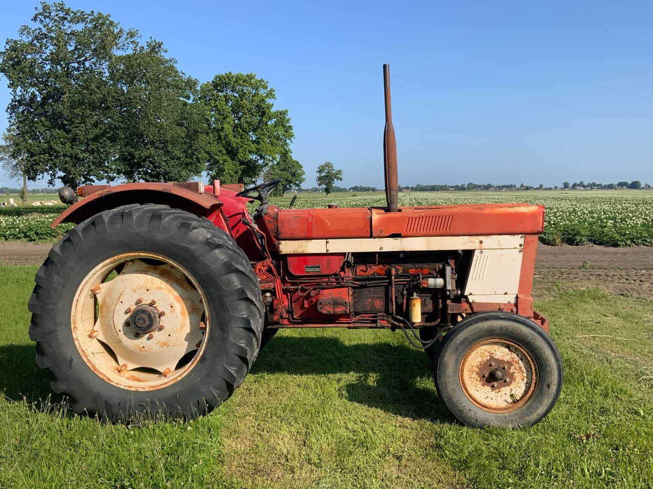 International 1046 A - Traktor: bilde 4 International 1046 A - Traktor: bilde 4
