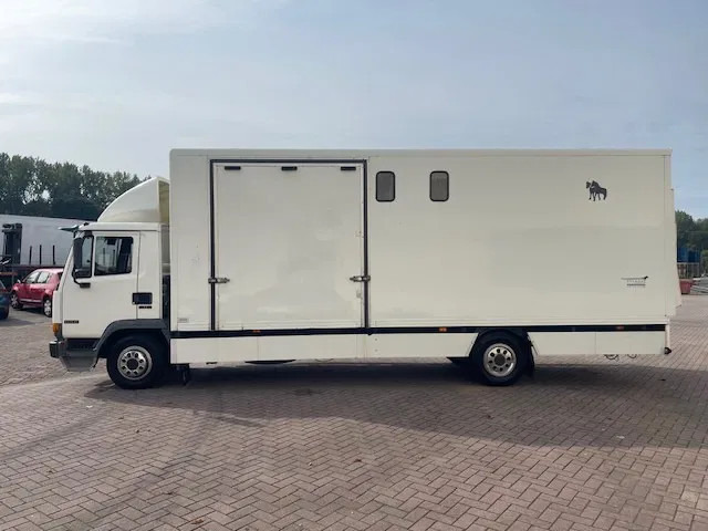 DAF LF 45.130 CLEAN HORSES NL-TRUCK - Hestebil: bilde 4 DAF LF 45.130 CLEAN HORSES NL-TRUCK - Hestebil: bilde 4