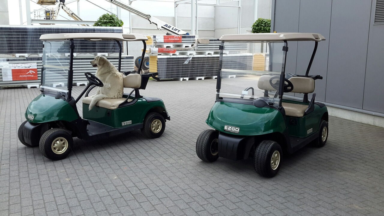 Ezgo rxv petrol - Golfbil: bilde 1 Ezgo rxv petrol - Golfbil: bilde 1