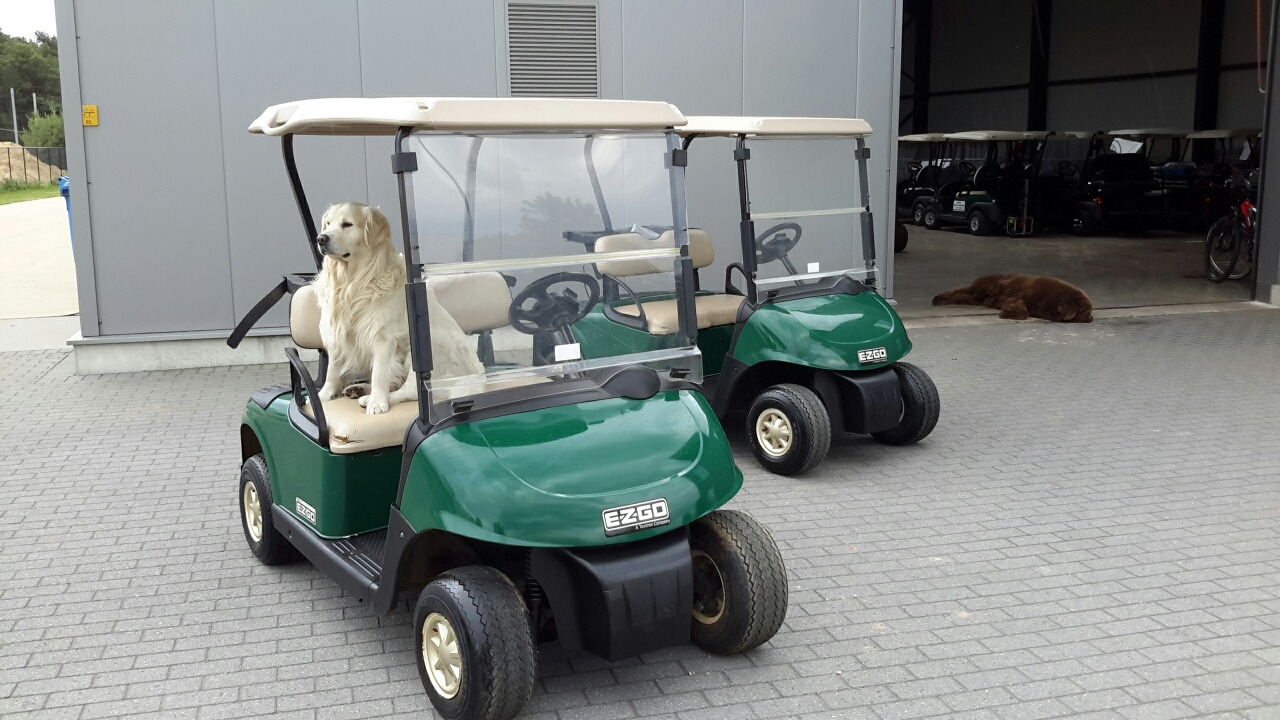 Ezgo rxv petrol - Golfbil: bilde 2 Ezgo rxv petrol - Golfbil: bilde 2
